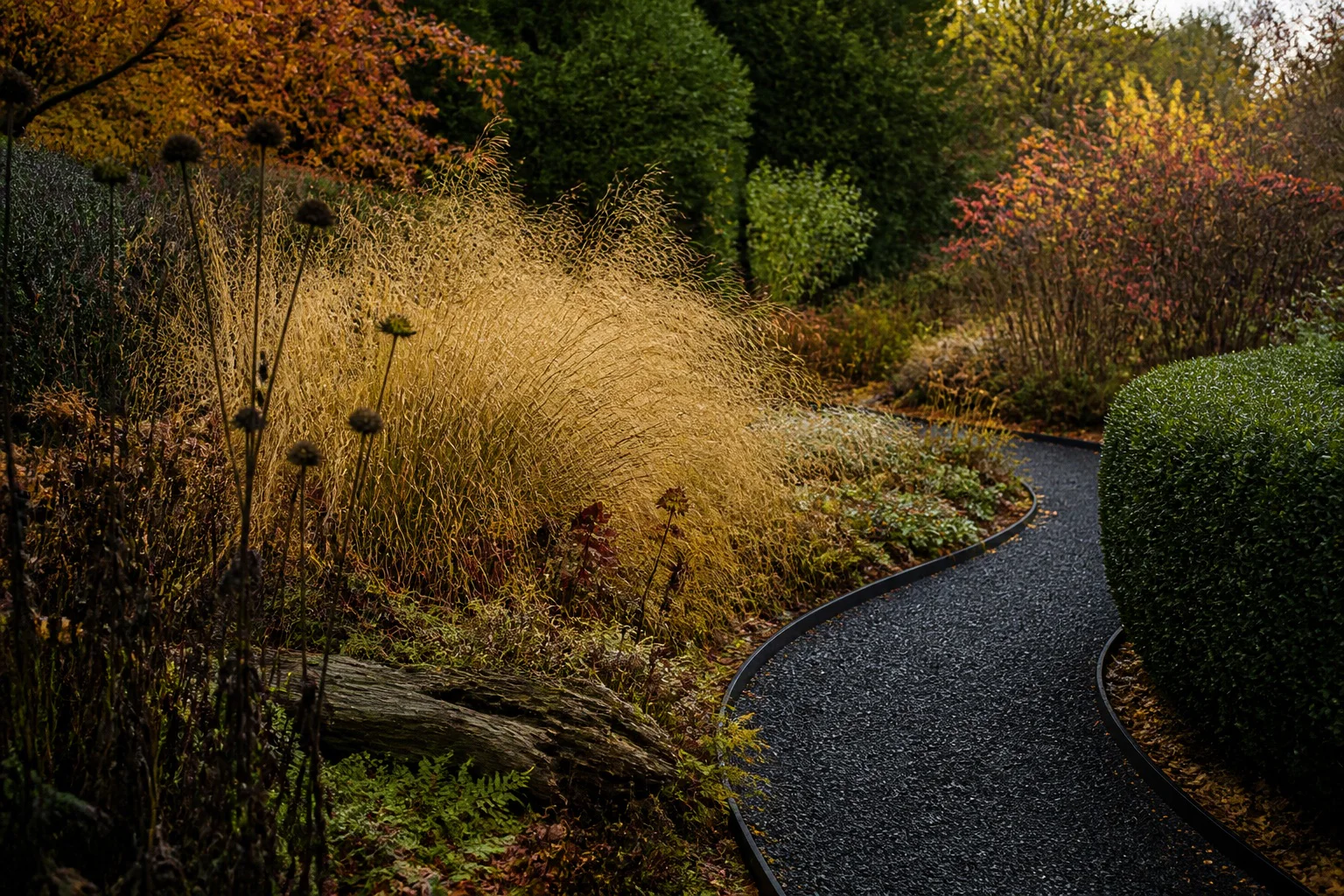 A crisp curving black gravel path borders standing tan grasses, seedheads, fallen leaves, clipped evergreen forms, and an old log in an autumn garden.