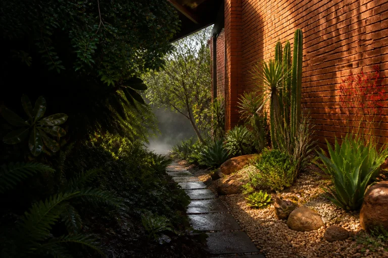 A narrow path divides a cool shaded garden of dark ferns from a hot dry planting of succulents beside a sunlit brick wall.