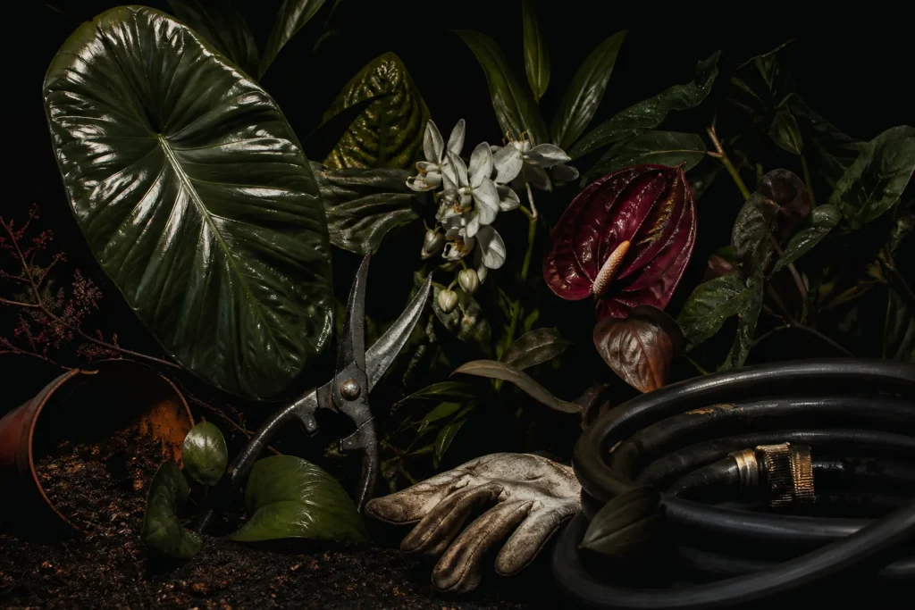 Pruning shears, a coiled black hose, and a worn glove arranged among glossy dark foliage and flowers.