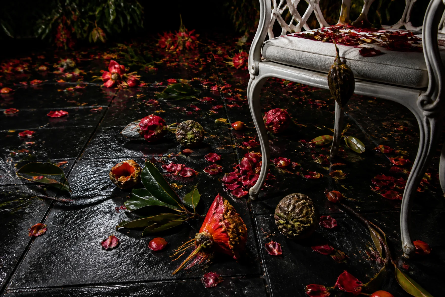 Red petals, fallen fruit, seedpods, and glossy leaves scattered across a wet black patio beneath a pale chair.