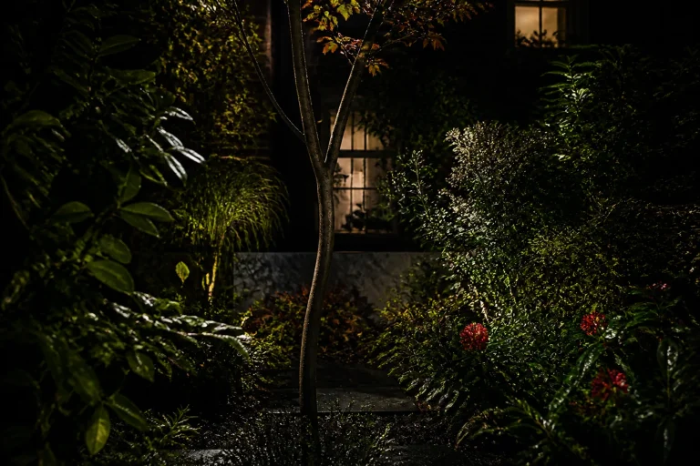 Layered shrubs and a slim tree interrupt views of lit neighboring windows in a dark urban garden.