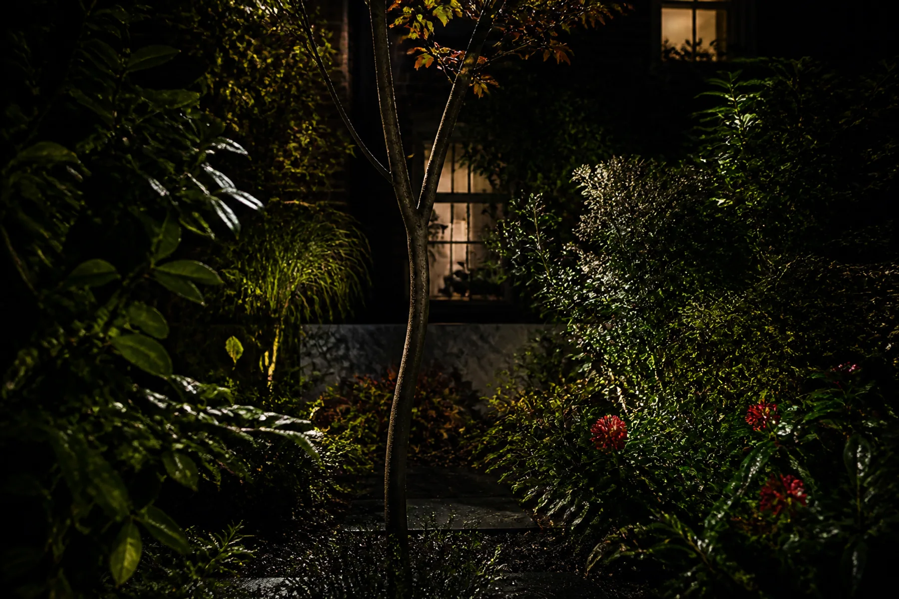 Layered shrubs and a slim tree interrupt views of lit neighboring windows in a dark urban garden.